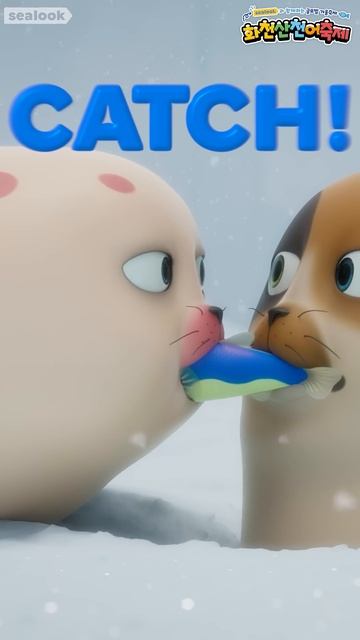 Морские Котики Фестиваль рыбы 2025 