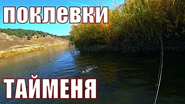 Рыбалка в сентябре на реке.