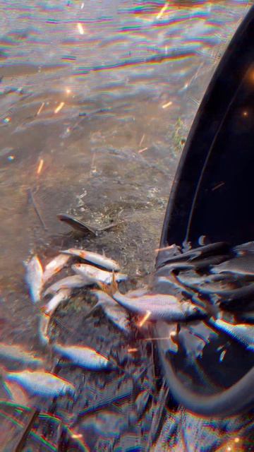 Рыбалка ранней весной