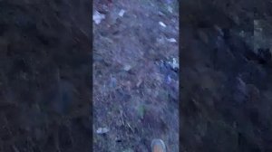 Крутые хлебушки