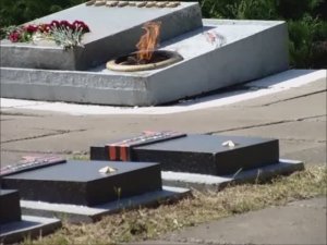 про псов и святыни