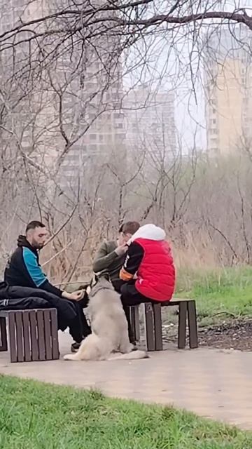 Все самой интересное в комментариях