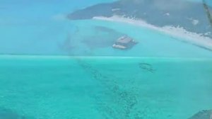 Will to Power - I'm not in Love