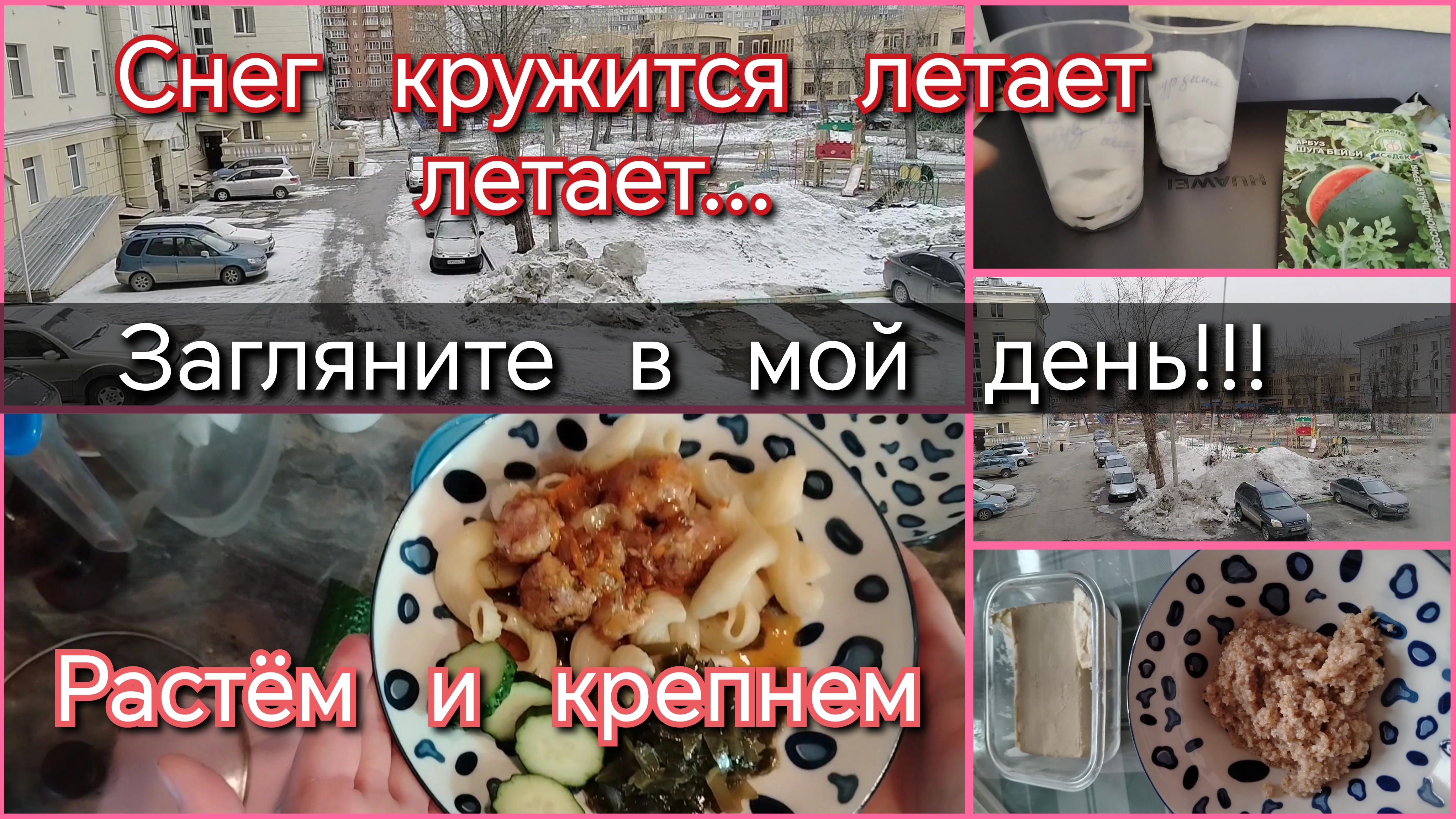 Загляните в мой день//снег// семена