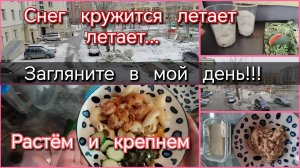 Загляните в мой день//снег// семена