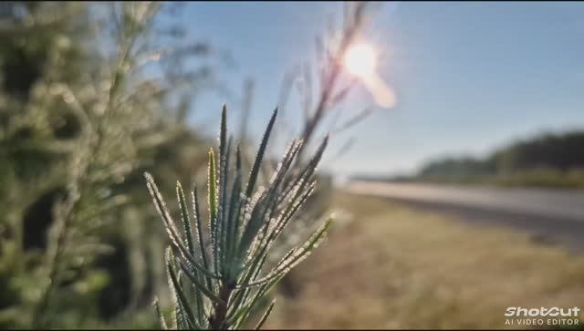 Осень рыбалка ХМАО.