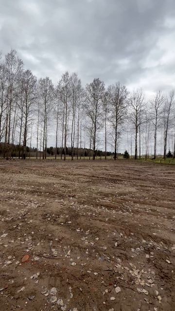 Большое Прокошево 75 сото