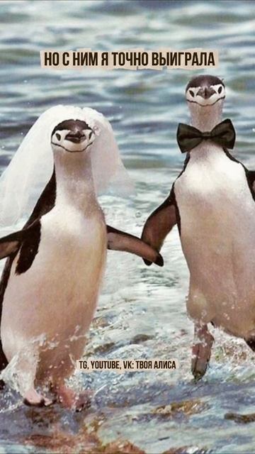 вот оно самое