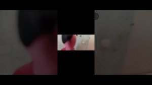 рякцыя на стинкитаим глава 1 по 3