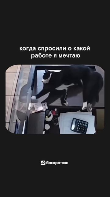 Можно и переводом