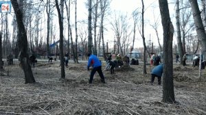 Абаканская зона отдыха стала чище - порядок здесь навели около сотни активистов