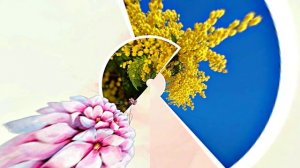 Весна! Мимозы для моей очаровательной ЗАНОЗЫ 2! Киностудия Мудрого Кота Тимофея!