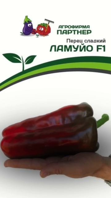 Гибриды перца, которые реально радуют урожаем #SemenaPartnerShorts