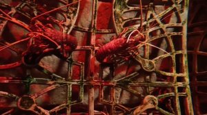 Огромные раки в аквариуме в отеле Атлантис в Дубае