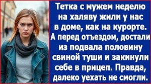 Тетка неделю жила у нас, как на курорте. | ИСТОРИЯ ИЗ ЖИЗНИ | АУДИО РАССКАЗ | СЛУШАТЬ ИСТОРИЮ