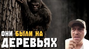 СНЕЖНЫЙ ЧЕЛОВЕК ► ОНИ БЫЛИ НА ДЕРЕВЬЯХ