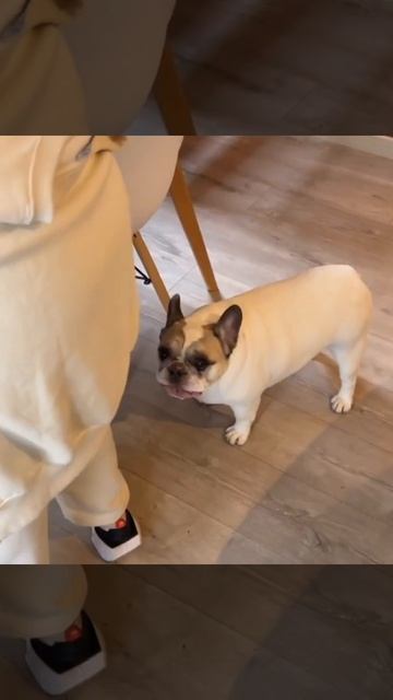 Вздумала спорить со мной?!))