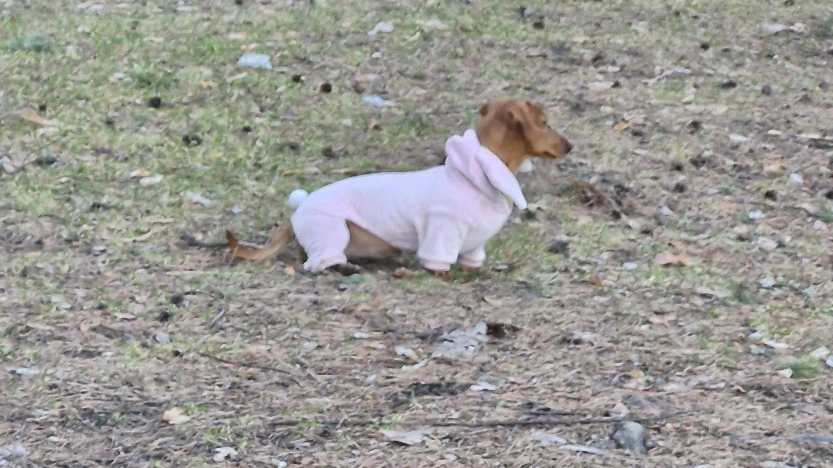 На рыбалке Веста