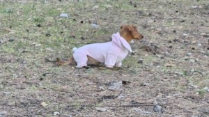 На рыбалке Веста