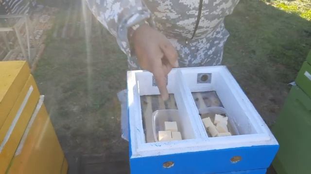 Обработка Пчёл от Клеща в Зиму!!!