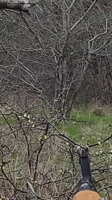 «Да, точно! Всё, точно попал!»