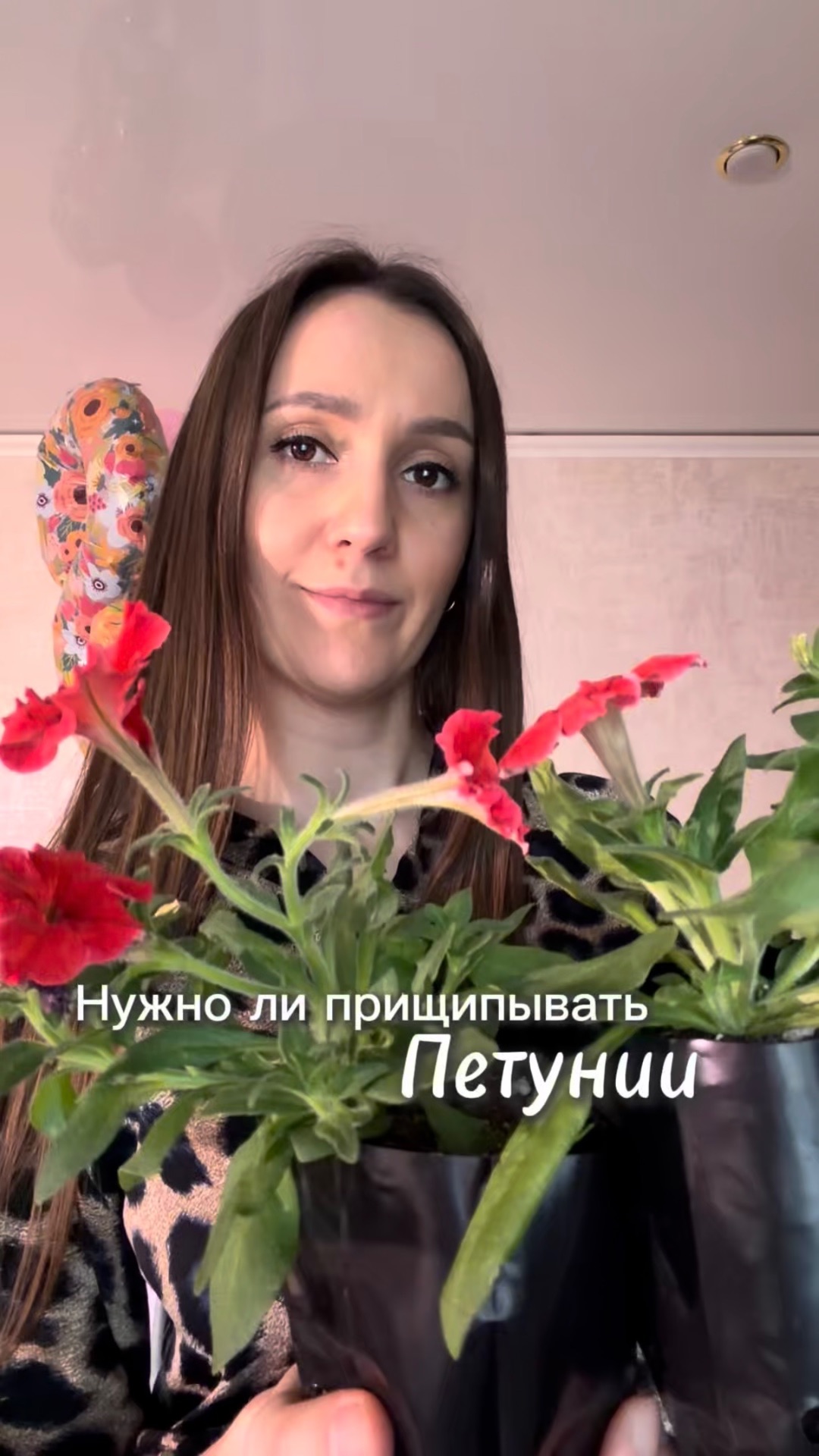 Прищипывать петунию или нет? Показываю как я это делаю  и начинаю эксперимент