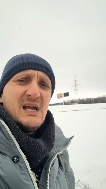 Птицы и отношения #верность