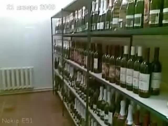 Образцы продукции.