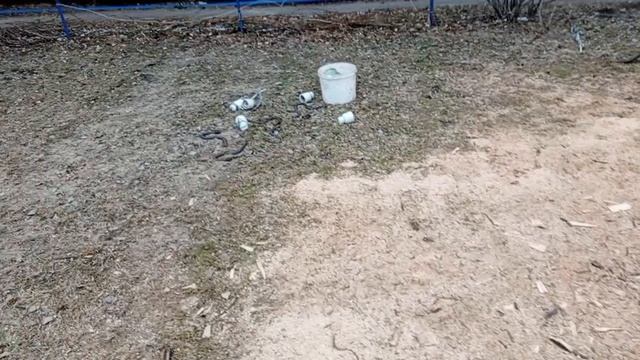 Сергей травмировался