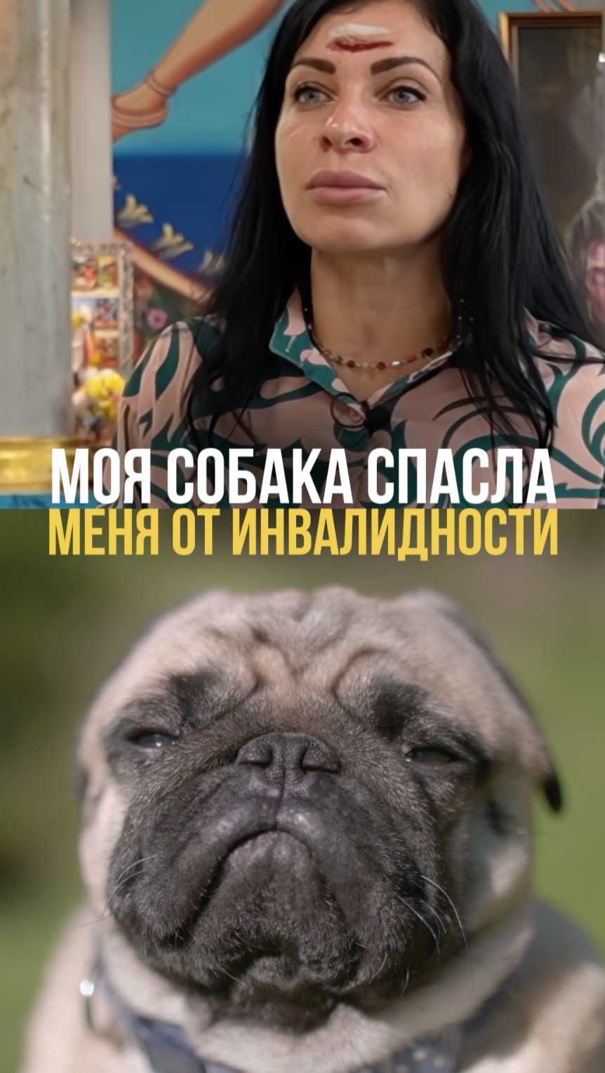 Моя собака спасла меня от инвалидности
