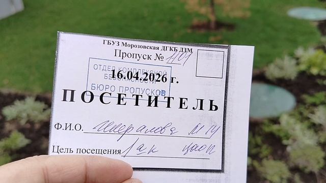 Московские цветники в апреле 2026