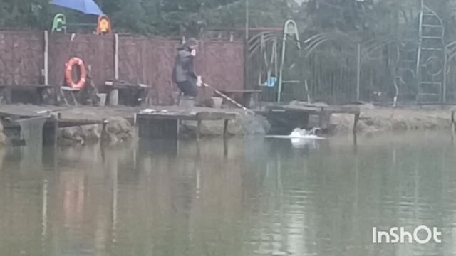 В Липках рыба есть!