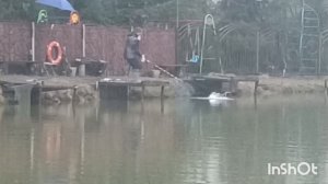 В Липках рыба есть!