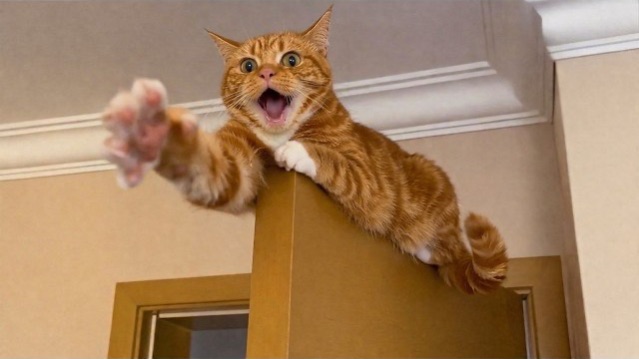 Приколы с животными🤗 Смешные видео про животных 🤗СМЕШНОЕ ВИДЕО😍 Наши любимые смешные животные