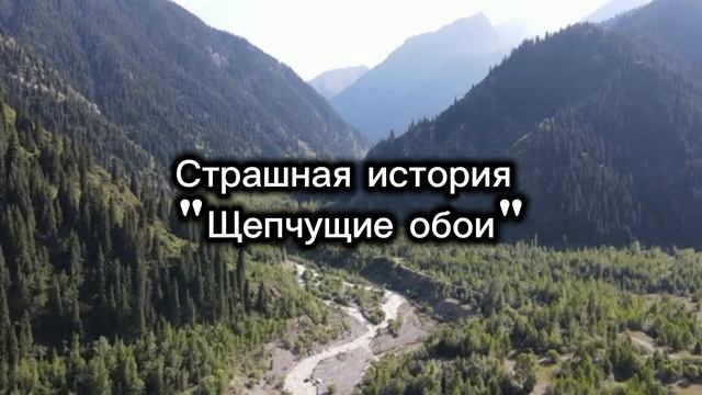 СТРАШНАЯ ИСТОРИЯ  ЩЕПЧУЩИЕ ТЕНИ  НА НОЧЬ