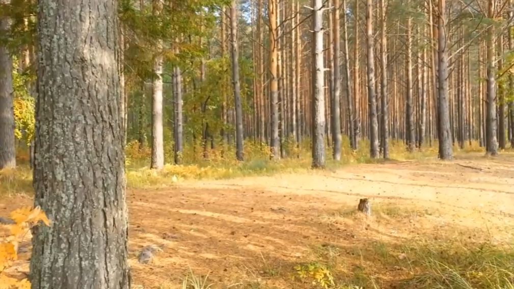 На озере. Часть 2