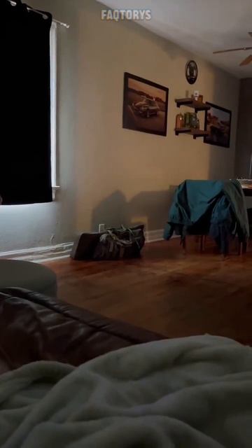 Заводские настройки всех котиков