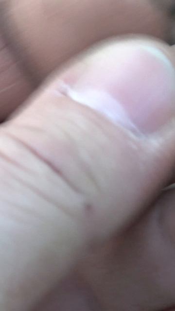 Нашли под корягой старинное серебро #shorts #находкисметаллоискателем #леснойкоп  #metaldetecting