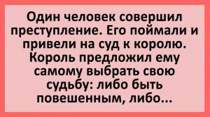Анекдоты | Король предложил преступнику выбрать свою судьбу... | Анекдоты смешные | Юмор