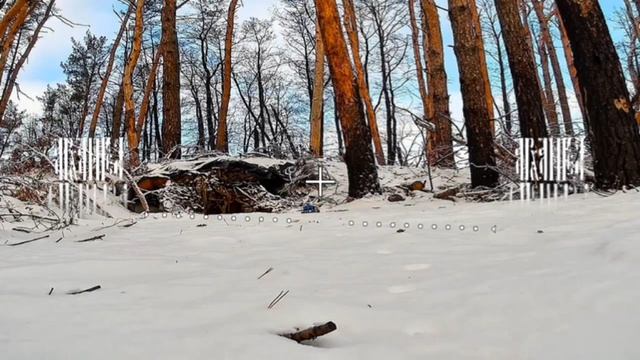А как вам такой ждун?