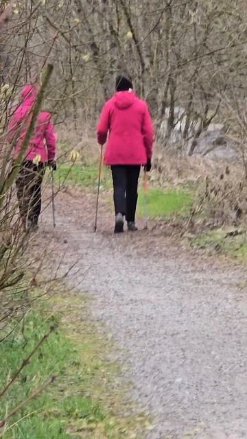 Куда так спешат эти норд ходящие