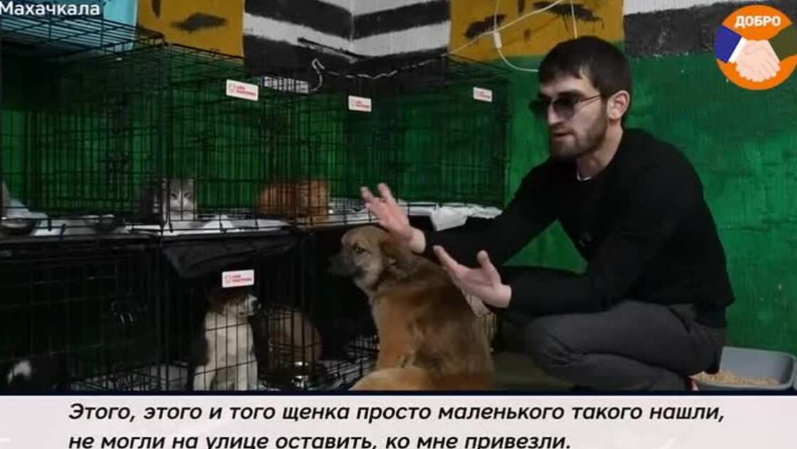Ветеран СВО открыл приют для больных и брошенных домашних животных