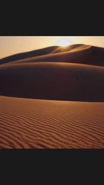 пустыня жизньвпустыне достопримечательности пейзажи