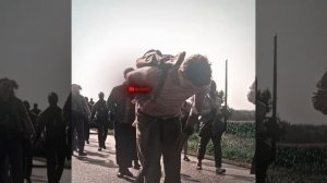 краткий пересказ фильма