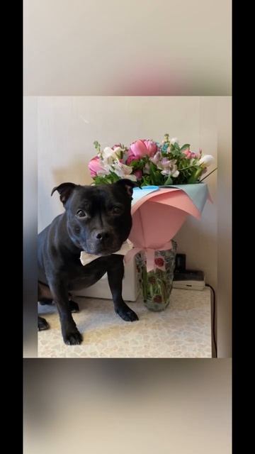 16 апреля 2026 г.