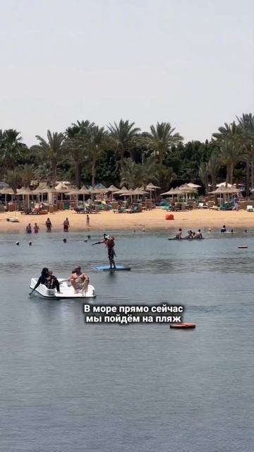 16 апреля в Египте