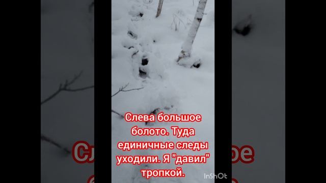 ВЕСТИ С УГОДИЙ.
АРХИВ.