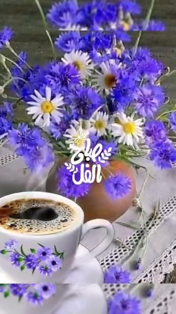 فيروز دخلك ياطير الوروار