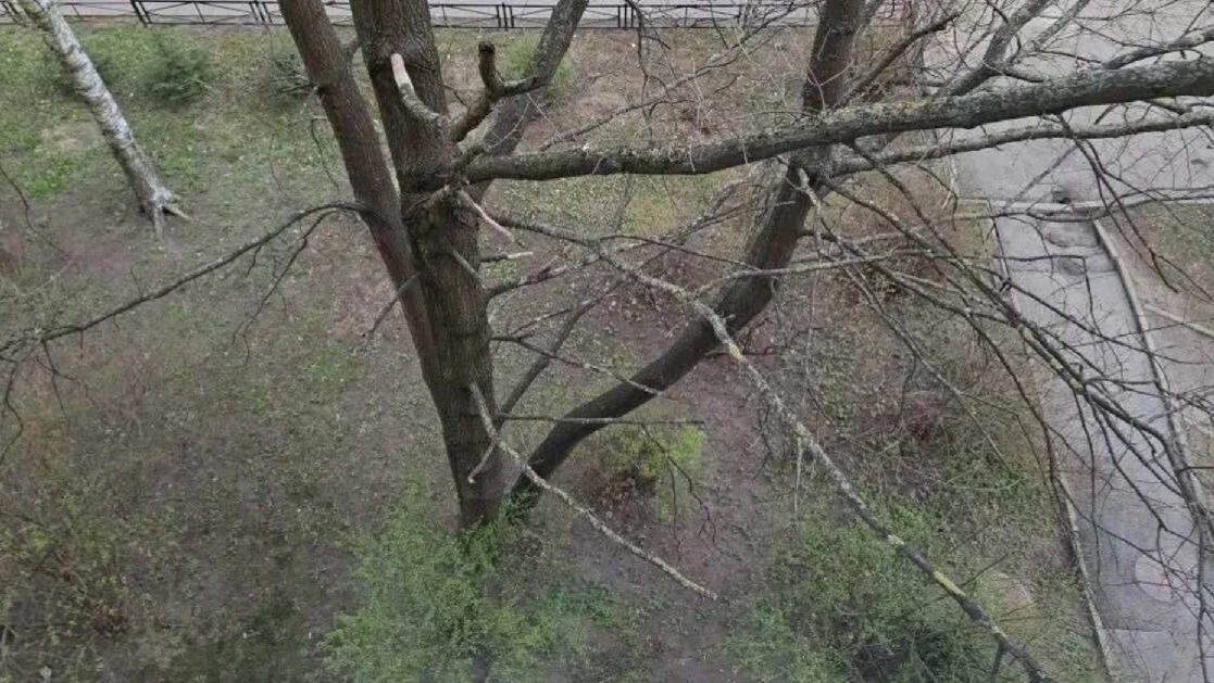 Двухлетний мальчик выжил после падения с четвертого этажа в Петербурге