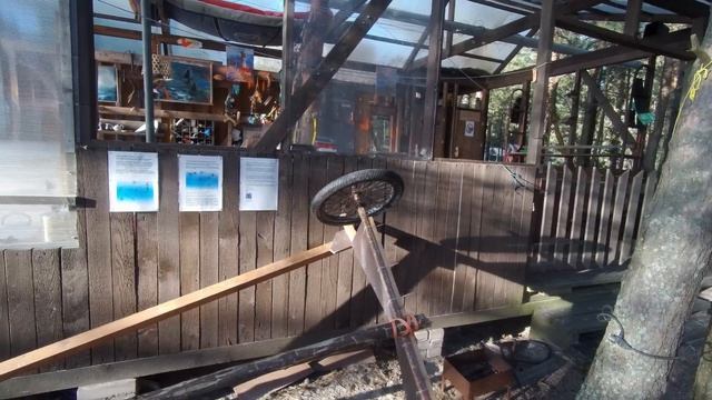 СОСНОВЫЙ БОР ФИНСКИЙ ЗАЛИВ ЧИСТЫЙ